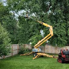 Best Emergency Tree Removal  in Niagara Falls, NY